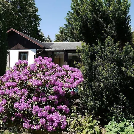 In Maxen Mit Privatem Pool By Interhome Muhlbach