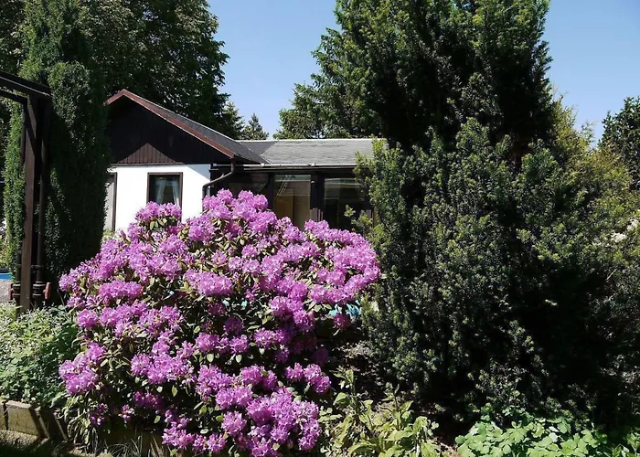 In Mit Privatem Pool By Interhome Maxen